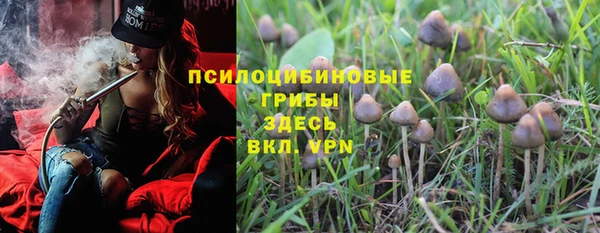 соль курить ск Вязьма