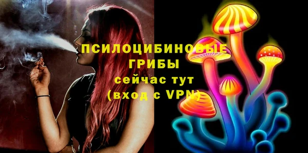 синтетический гашиш Вяземский