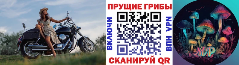 Купить закладки  Кемь  Галлюциногенные грибы Psilocybe 